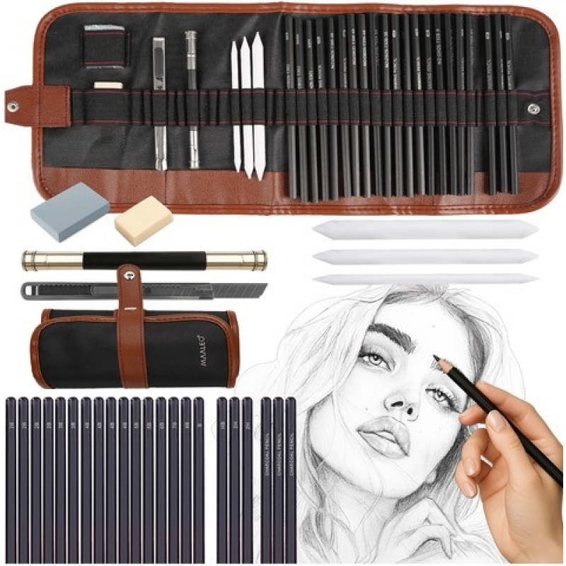 Набір для Малювання Професійні Олівці Вугілля та Аксесуари 27 предметів у Футлярі