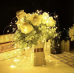 Сонячна гірлянда LED 15 м 150 діодів IP44 тепле біле світло 8 режимів для саду та тераси